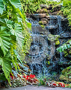 Water fall with green leaf plant in tropical decoration graden landscape design environment
