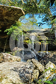 Water fall with green trees