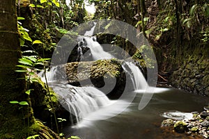 Water Fall in the Hawaii Tropical Botanical Garden