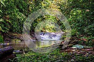 Water fall in the jungle at Osa Peninsula, Costa Rica