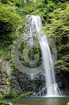 Water fall at the Mino Quasi National Park