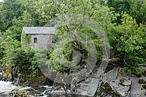 Cenarth falls   Pembrokeshire  wales  water fall