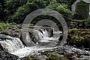 Cenarth falls   Pembrokeshire  wales  water fall