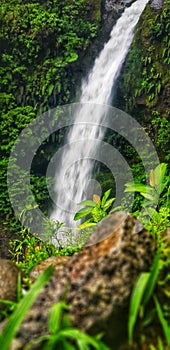 Water fall perpective wet forest photo