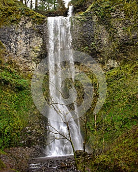 Water fall at the Silver Falls State park