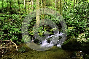 Water Fall in Smoky Mountain National Park