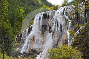 Water fall sounded by green trees