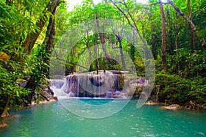 Water fall in spring season located in deep rain forest jungle