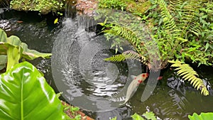 Water fall with sunlight beautiful view nature