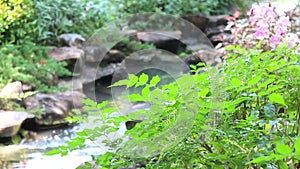 Water fall with sunlight beautiful view nature