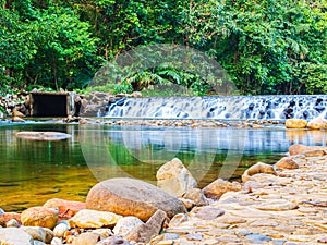 Water fall with walk way in forest