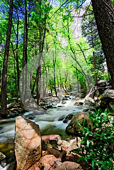 Water Fall in Yosemite National Park, California