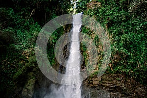 Water falling form a cascade in the middle of the jungle with green plants