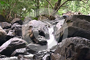 Water falling between the rocks in a dense forest