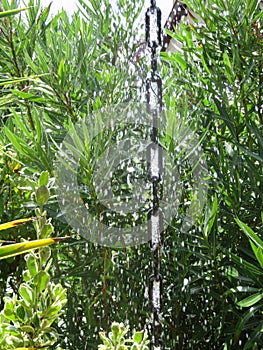 water falling from the sky rain get wet deluge water nature photo