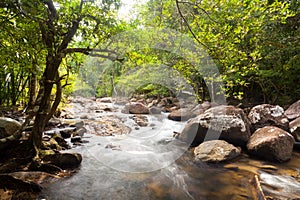 Water Falls Cascade on Tropical Forest