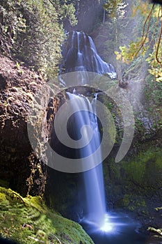 Acqua un muschioso la roccia 