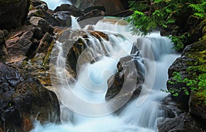 Water falls in North Cascades national park