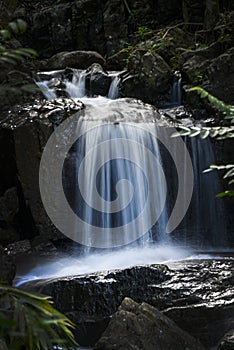 Water falls  from western ghats forest