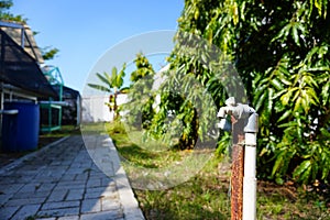 Water faucet with a hydroponic garden and green house in the background