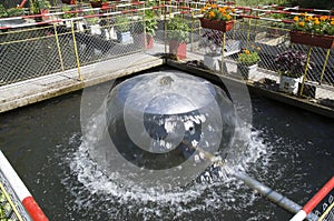 A water feature in fish pond in sunny day