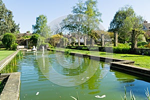 Water feature in a garden