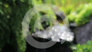 Water Feature and Greens Plants with Soothing Sound of Fountain in Garden