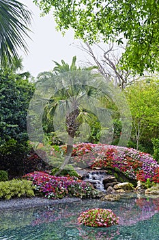 Water feature in pond