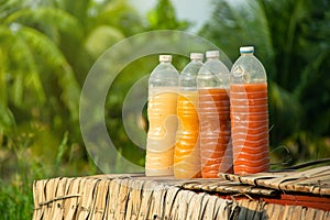 Photosynthetic Bacteria PSB in plastic bottles for organic agriculture.