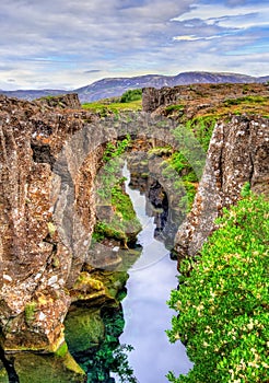 Water in a fissure between tectonic plates in the Thingvellir National Park, Iceland photo