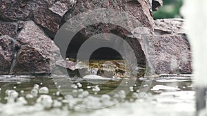 Water flow fling or Shoot up, Fountain splash. Water pressure. Fountain in summer park. Splashing streams fountain.