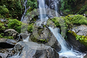 The water flow in the jungle