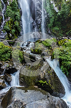 The water flow in the jungle