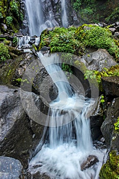The water flow in the jungle