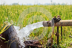 Water flow from large pump tube in rice field in central of Thai