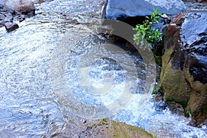 Water flow - the flow of liquid water