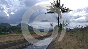 Water flow in rice field irrigation channels.