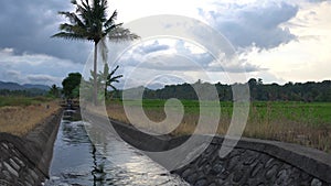 Water flow in rice field irrigation channels.