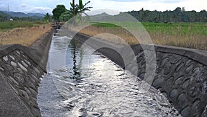 Water flow in rice field irrigation channels.