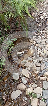 Water flow in the Sentul hills, West Java