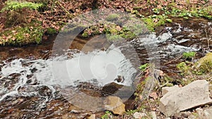 Water flow in a spring stream in the forest