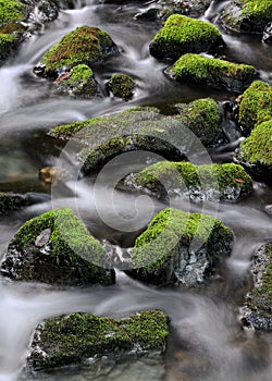 Water flowing around mossy rocks