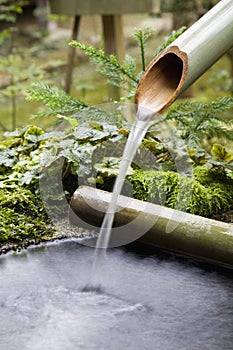 Water flowing from bamboo pipe