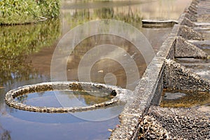 Water flowing continuosly over a public monument.
