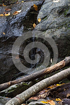 Water flowing from a crack in large boulders, deadfall foreground,