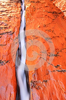 Water Flowing Through Crack in Zion