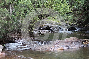 Water Flowing Down Stream Among Bushes