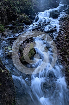 Water flowing through the forest over moss covered rocks at spring time