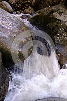 Water flowing over rocks in the forest