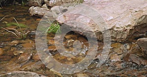 Water flowing past a large boulder in a rocky stony creek with long grass